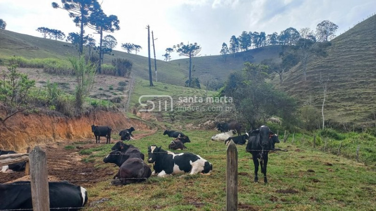 Imóvel com 3 Quartos à Venda, 1 m² em Bairro Calunga/peitudo - Silveiras