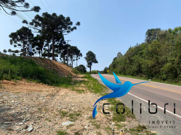Imagem Terreno à Venda, 2.707 m² em Leão - Agudos Do Sul Imagem Terreno à Venda, 2.707 m² em Leão - Agudos Do Sul