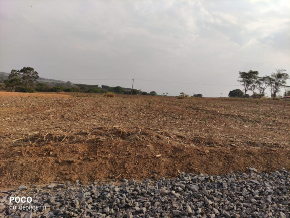 Imagem Terreno à Venda, 5.000 m² em área Rural De Limeira - Limeira Imagem Terreno à Venda, 5.000 m² em área Rural De Limeira - Limeira