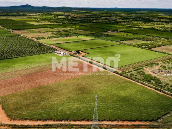 Imagem Fazenda à Venda, 250.000 m² em Rod. Do Salitre - Juazeiro Imagem Fazenda à Venda, 250.000 m² em Rod. Do Salitre - Juazeiro