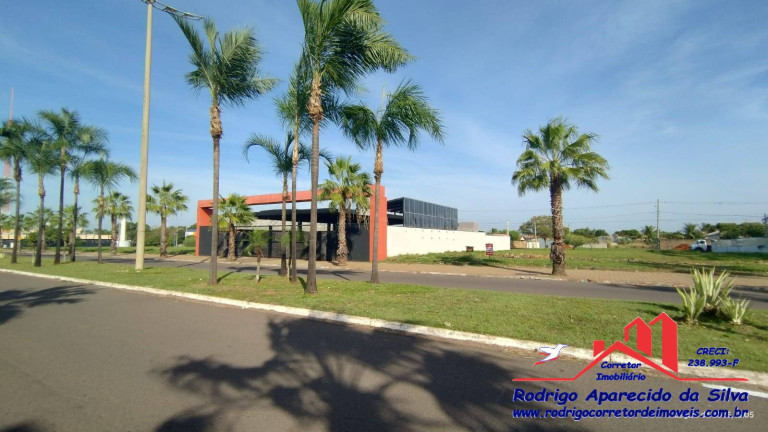 Terreno à Venda, 600 m² em Jardim Alto Do Silvares - Birigui