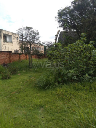 Imagem Casa com 3 Quartos à Venda, 173 m² em Centro - Itapetininga Imagem Casa com 3 Quartos à Venda, 173 m² em Centro - Itapetininga