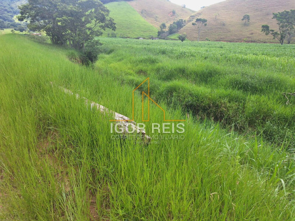 Fazenda à Venda, 400 m² em Campos Dos Goytacazes