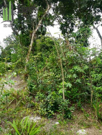 Terreno à Venda,  em Jd. Coronel - Itanhaem