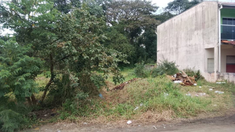 Imagem Terreno à Venda, 181 m² em Costeira - Balneário Barra Do Sul Imagem Terreno à Venda, 181 m² em Costeira - Balneário Barra Do Sul
