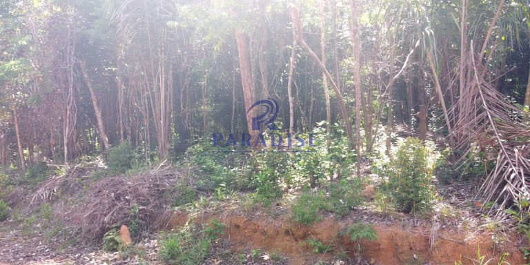 Imagem Terreno à Venda, 2.160 m² em Açu Da Torre - Mata De São João Imagem Terreno à Venda, 2.160 m² em Açu Da Torre - Mata De São João