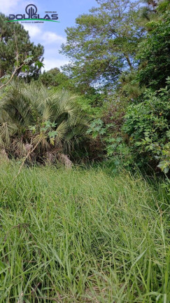 Imagem Terreno à Venda, 550 m² em águas Claras - Viamão Imagem Terreno à Venda, 550 m² em águas Claras - Viamão