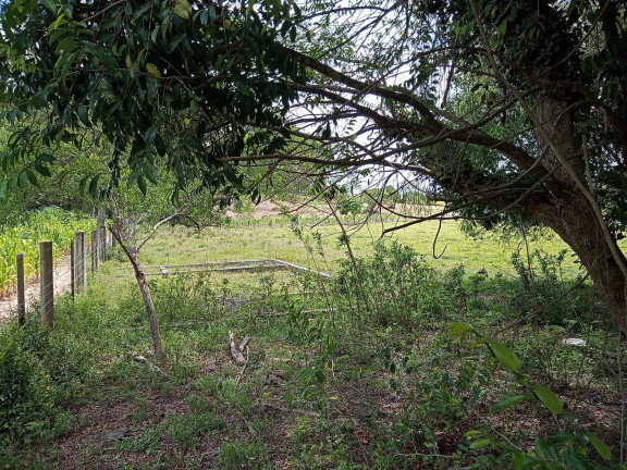 Imagem Terreno à Venda, 627 m² em águas Claras - Viamão Imagem Terreno à Venda, 627 m² em águas Claras - Viamão