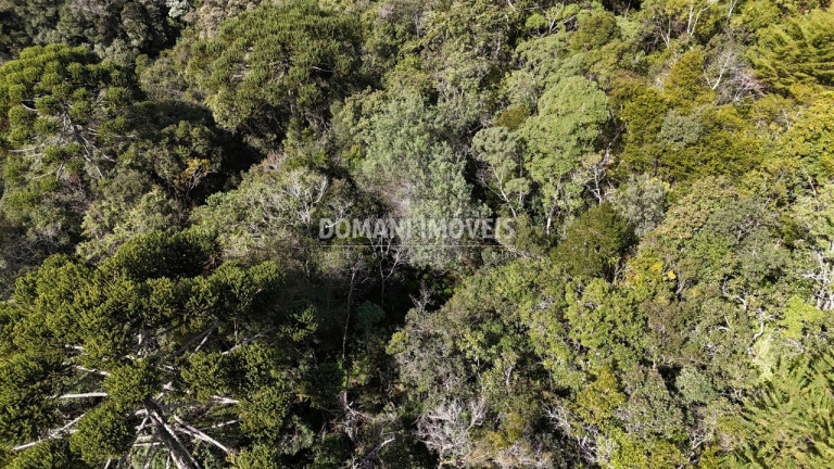Imagem Terreno à Venda, 2.570 m² em Região De Capivari - Campos Do Jordão Imagem Terreno à Venda, 2.570 m² em Região De Capivari - Campos Do Jordão