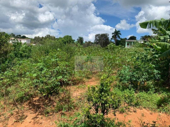 Imagem Chácara com 3 Quartos à Venda, 1 m² em Jardim Cananéia - Pilar Do Sul Imagem Chácara com 3 Quartos à Venda, 1 m² em Jardim Cananéia - Pilar Do Sul