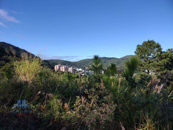 Imagem Terreno à Venda, 450 m² em Itacorubi - Florianópolis Imagem Terreno à Venda, 450 m² em Itacorubi - Florianópolis