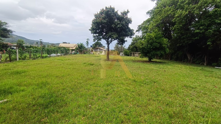 Imagem Fazenda à Venda, 10.000 m² em Penha - Imbituba Imagem Fazenda à Venda, 10.000 m² em Penha - Imbituba