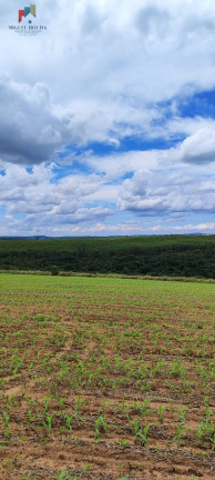 Imagem Imóvel com 1 Quarto à Venda, 1.815.000 m² em Da Bandeira (lavrinha) - São Miguel Arcanjo Imagem Imóvel com 1 Quarto à Venda, 1.815.000 m² em Da Bandeira (lavrinha) - São Miguel Arcanjo