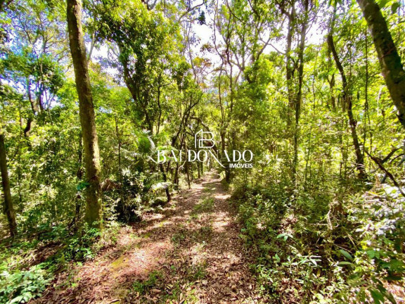 Imagem Imóvel com 2 Quartos à Venda, 12.000 m² em Centro - Munhoz Imagem Imóvel com 2 Quartos à Venda, 12.000 m² em Centro - Munhoz