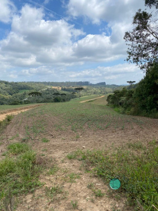 Imagem Imóvel à Venda, 1.600.000 m² em Zona Rural - Vidal Ramos Imagem Imóvel à Venda, 1.600.000 m² em Zona Rural - Vidal Ramos