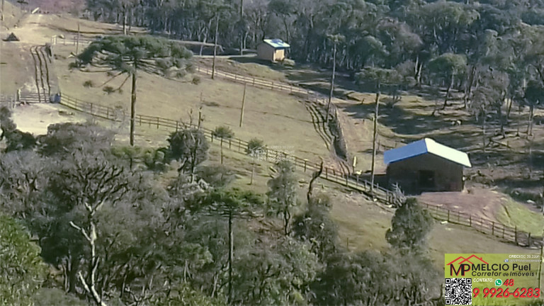 Imagem Imóvel com 3 Quartos à Venda, em Centro - Rancho Queimado Imagem Imóvel com 3 Quartos à Venda, em Centro - Rancho Queimado