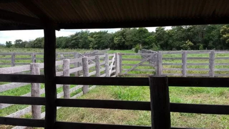 Imagem Fazenda à Venda, 500 m² em Zona Rural - Paranatinga