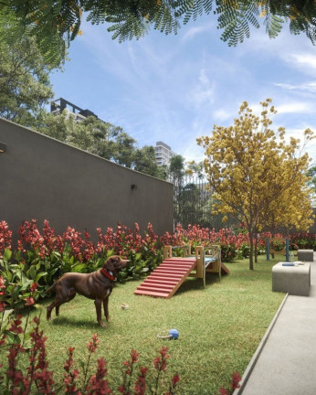 Imagem Imóvel com 1 Quarto à Venda, 29 m² em Paraíso - São Paulo