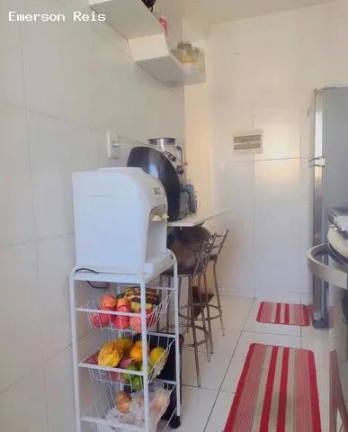 Imagem Apartamento com 2 Quartos à Venda, 50 m² em Cambuci - São Paulo Imagem Apartamento com 2 Quartos à Venda, 50 m² em Cambuci - São Paulo