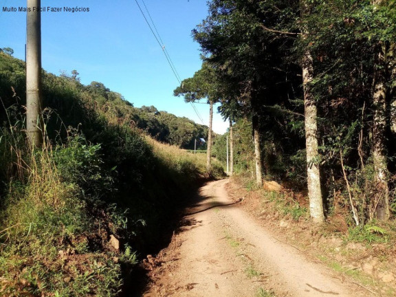 Imagem Terreno à Venda, 2 m² em Linha Imperial - Nova Petrópolis