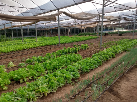 Imagem Imóvel com 1 Quarto à Venda, 21.300 m² em São Marcos - Bofete