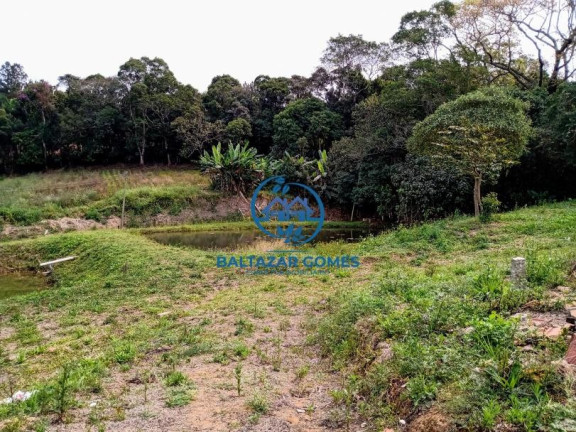 Imagem Imóvel com 3 Quartos à Venda, 56.000 m² em Cocuera - Mogi Das Cruzes