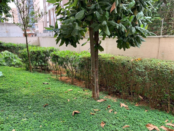Imagem Apartamento com 2 Quartos à Venda, 67 m² em Bosque Da Saúde - São Paulo