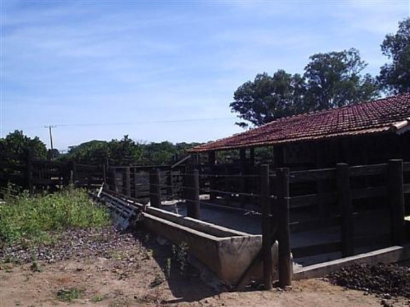 Imagem Imóvel à Venda, 132.000 m² em Parada - Artur Nogueira Imagem Imóvel à Venda, 132.000 m² em Parada - Artur Nogueira