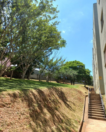 Imagem Apartamento com 2 Quartos à Venda, 48 m² em Conjunto Residencial Do Bosque - Mogi Das Cruzes Imagem Apartamento com 2 Quartos à Venda, 48 m² em Conjunto Residencial Do Bosque - Mogi Das Cruzes