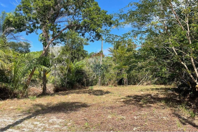 Imagem Terreno à Venda, 450 m² em Mata De São João - Mata De São João Imagem Terreno à Venda, 450 m² em Mata De São João - Mata De São João