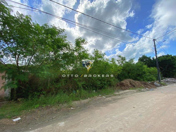 Imagem Terreno à Venda, 3.700 m² em Coroa Vermelha - Santa Cruz Cabrália Imagem Terreno à Venda, 3.700 m² em Coroa Vermelha - Santa Cruz Cabrália