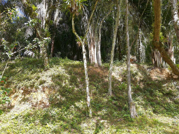 Imagem Chácara à Venda, 6 m² em Zona Rural - Tapiraí Imagem Chácara à Venda, 6 m² em Zona Rural - Tapiraí