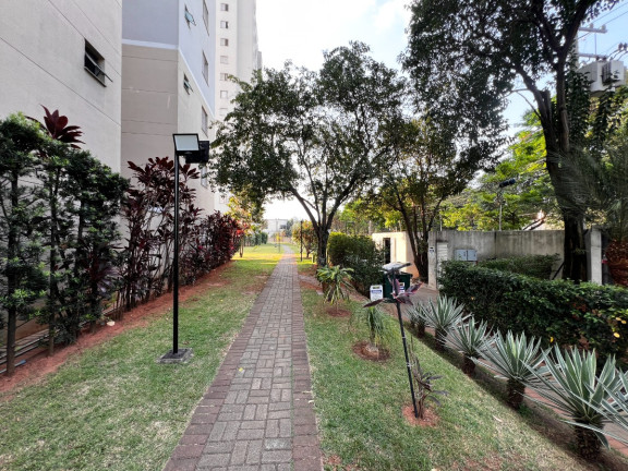 Imagem Apartamento com 2 Quartos à Venda, 48 m² em Lapa De Baixo - São Paulo Imagem Apartamento com 2 Quartos à Venda, 48 m² em Lapa De Baixo - São Paulo