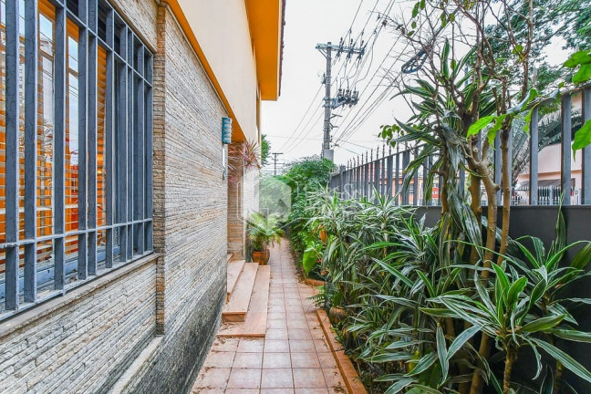 Imagem Casa com 4 Quartos à Venda, 290 m² em Vila Mariana - São Paulo Imagem Casa com 4 Quartos à Venda, 290 m² em Vila Mariana - São Paulo