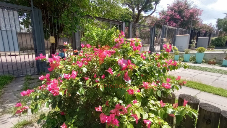 Imagem Casa com 2 Quartos à Venda, 101 m² em Jardim Itu - Porto Alegre