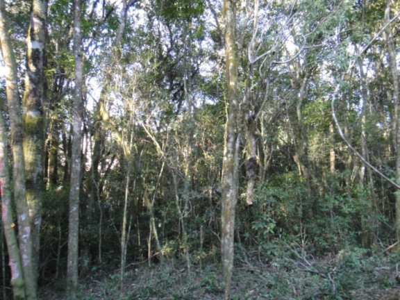 Terreno à Venda, 800 m² em Parque Boa Esperança - Gramado