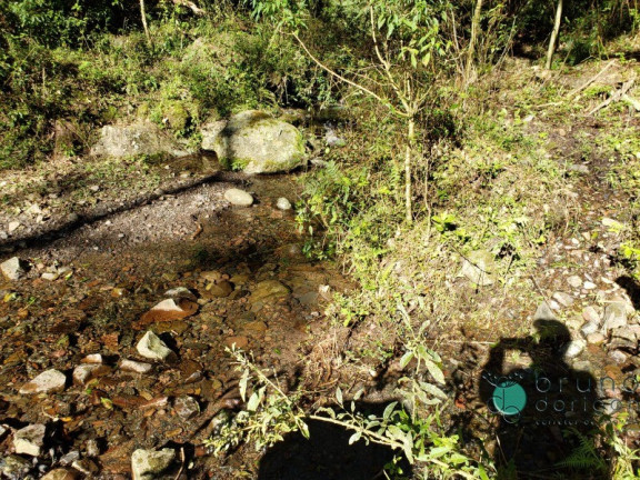 Imagem Imóvel à Venda,  em Zona Rural - Alfredo Wagner