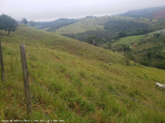 Imagem Chácara à Venda, 5 m² em Taquari - Caldas
