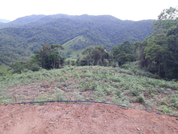 Imagem Fazenda à Venda, 300 m² em Gaspar Imagem Fazenda à Venda, 300 m² em Gaspar