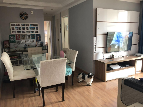 Apartamento com 2 Quartos à Venda, 65 m² em Rio Pequeno - São Paulo