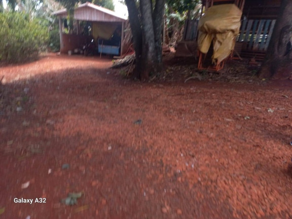 Imagem Chácara com 3 Quartos à Venda, 42.000 m² em Arapongas Imagem Chácara com 3 Quartos à Venda, 42.000 m² em Arapongas