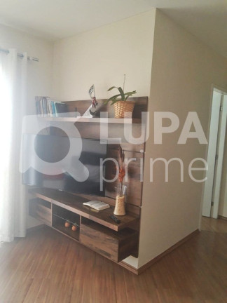 Imagem Apartamento com 3 Quartos à Venda, 65 m² em Vila Maria Alta - São Paulo Imagem Apartamento com 3 Quartos à Venda, 65 m² em Vila Maria Alta - São Paulo
