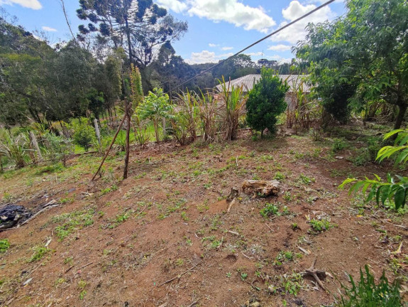 Imagem Chácara à Venda, 1.200 m² em Zona Rural - Tijucas Do Sul Imagem Chácara à Venda, 1.200 m² em Zona Rural - Tijucas Do Sul
