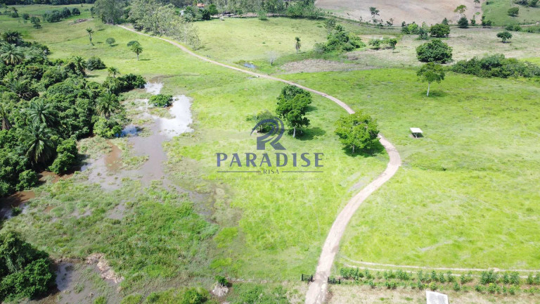 Imagem Fazenda à Venda, 9.750.000 m² em Zona Rural - Itanagra