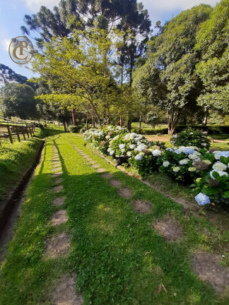 Imagem Chácara com 3 Quartos à Venda, 220 m² em Centro - Sapucaí-mirim Imagem Chácara com 3 Quartos à Venda, 220 m² em Centro - Sapucaí-mirim