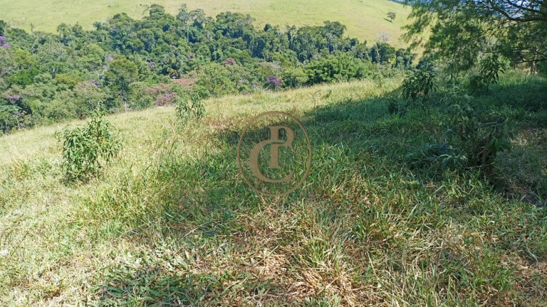 Imagem Chácara com 2 Quartos à Venda, 100 m² em Porto - Paraibuna Imagem Chácara com 2 Quartos à Venda, 100 m² em Porto - Paraibuna