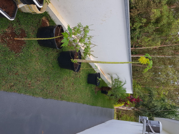 Imagem Casa de Condomínio com 1 Quarto à Venda,  em Ninho Verde I Eco Residence - Porangaba