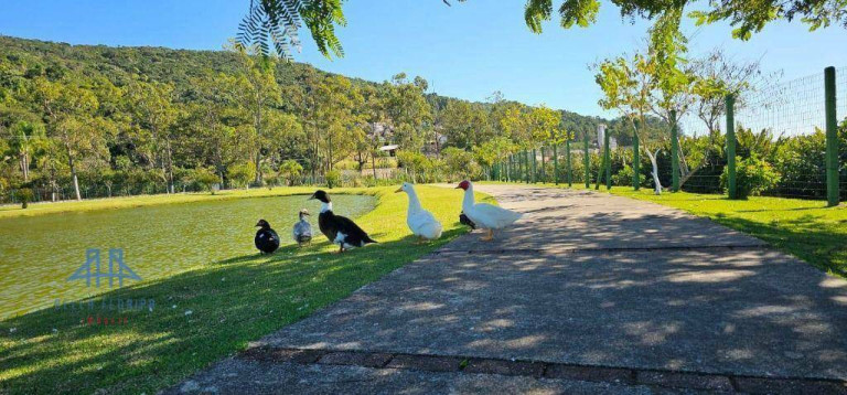 Imagem Terreno à Venda, 400 m² em Ratones - Florianópolis Imagem Terreno à Venda, 400 m² em Ratones - Florianópolis