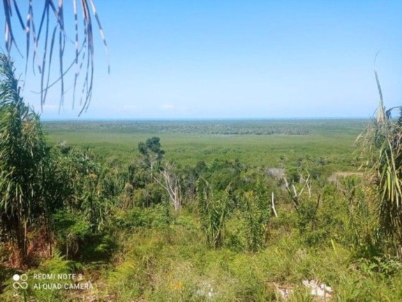 Imagem Fazenda à Venda, 400.000 m² em Ilha De Atalaia - Canavieiras Imagem Fazenda à Venda, 400.000 m² em Ilha De Atalaia - Canavieiras