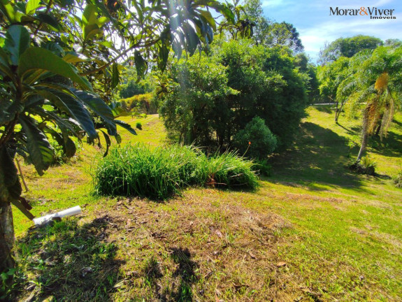 Imagem Chácara com 2 Quartos à Venda, 7.724 m² em Loteamento Chácara Chantecler - Piraquara Imagem Chácara com 2 Quartos à Venda, 7.724 m² em Loteamento Chácara Chantecler - Piraquara